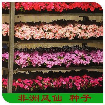严词拒绝