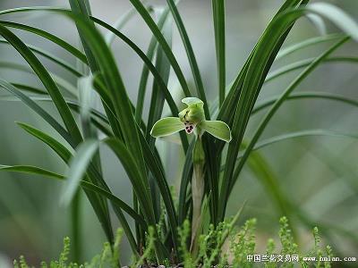 举不胜举
