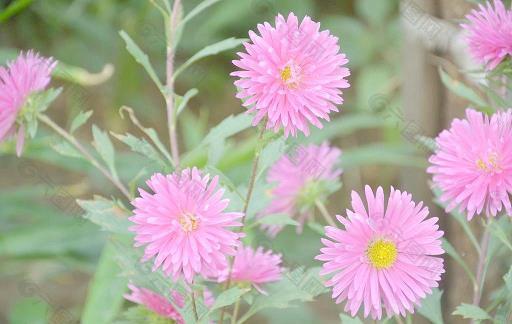 一手独拍，虽疾无声