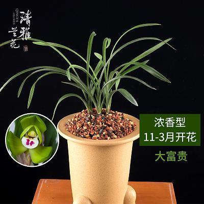 超类绝伦