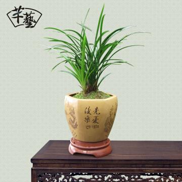 写景佳句摘抄20字
