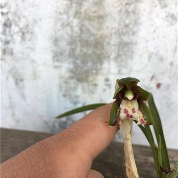 孤阴不长，独阳不生