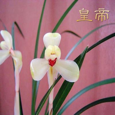 蚊思负山