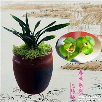 血债要用血来还