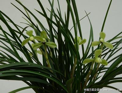 破旧立新