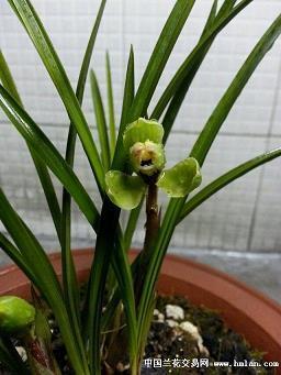 荏苒日月