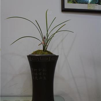 雕章缛彩