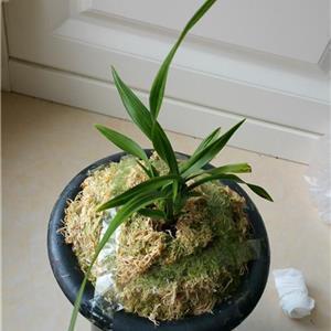 枯耘伤岁