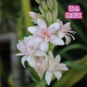 蝇飞蚁聚