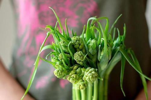 蜂游蝶舞