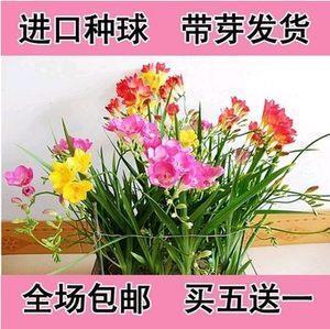 排斥异己