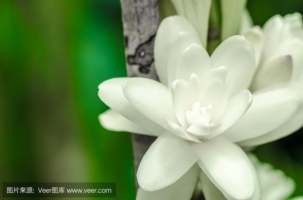 杳不可闻