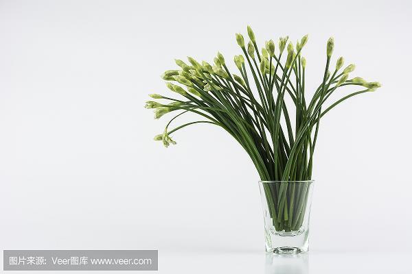 一心无二