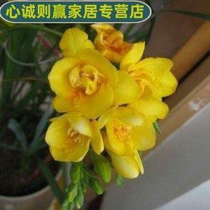 材优干济