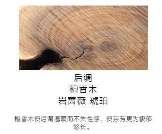 痛彻心腑
