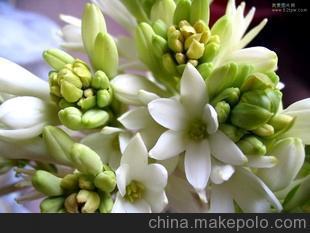 期待爱情的唯美句子 等待有缘人的句子简短