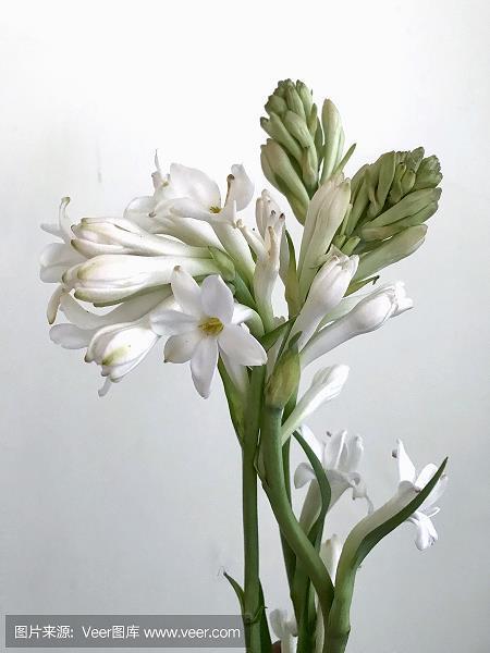 以一驭万