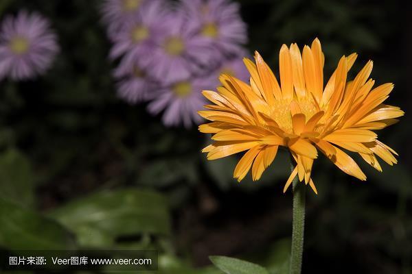 大煞风趣