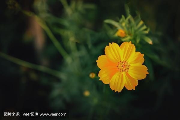 重赏之下，必有死夫