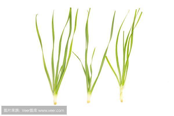 男妇老幼