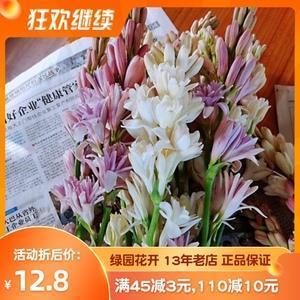 云兴霞蔚