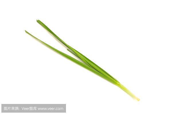 助桀为暴
