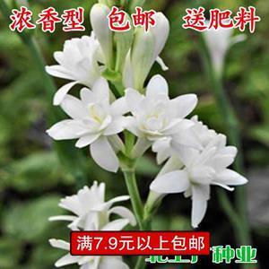 口诵心惟