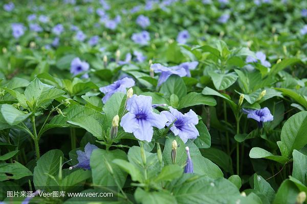 绍休圣绪