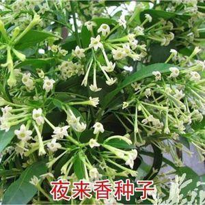普天率土