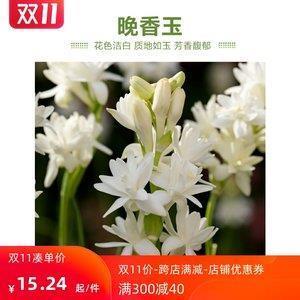 传经送宝
