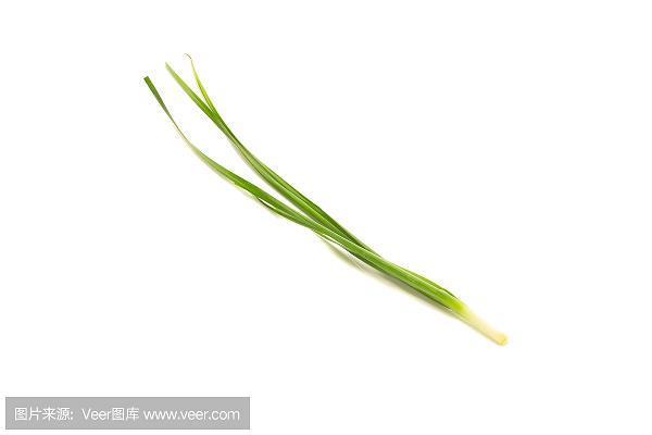 款启寡闻