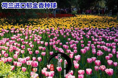 出震继离