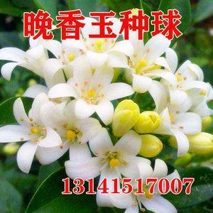 实获我心