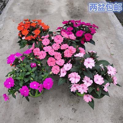 物议沸腾