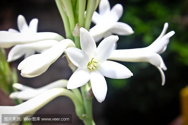 往蹇来连