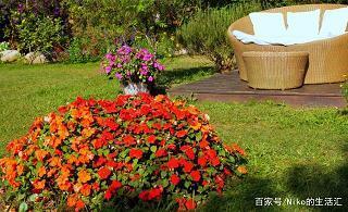 双桂联芳