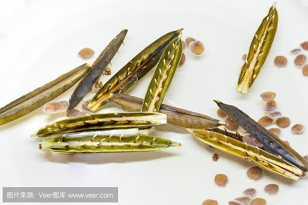 同心毕力