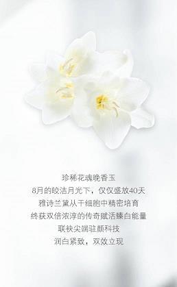 名噪一时