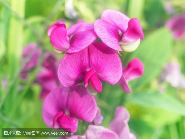 陷坚挫锐
