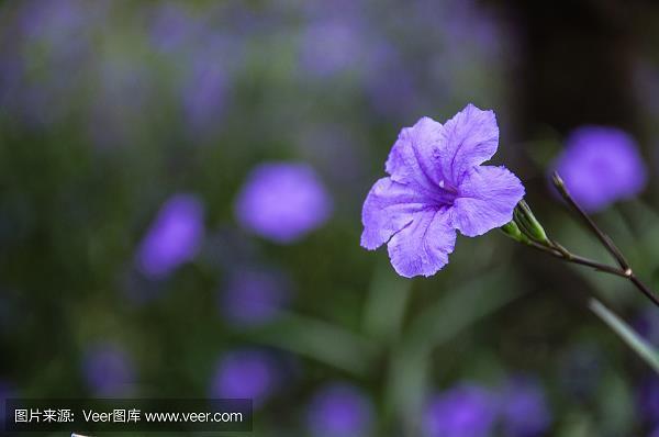 层层叠叠