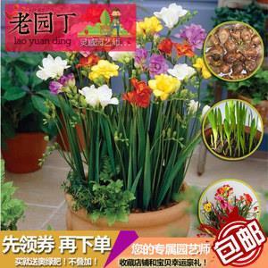 目大不睹