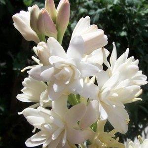心烦意乱心情说说