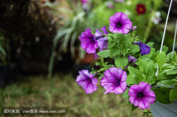 敢作敢当