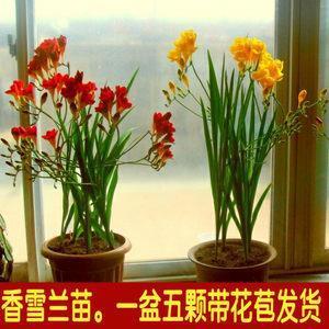 夫倡妇随