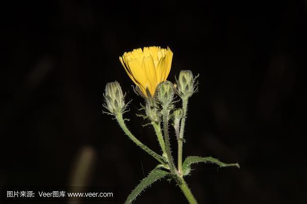 两两三三