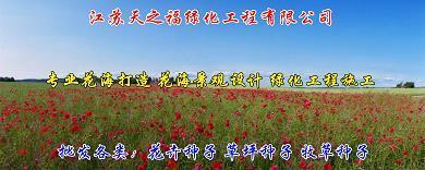 优柔失断