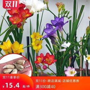长缨在手