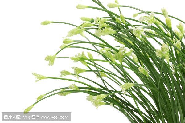 疑邻盗斧