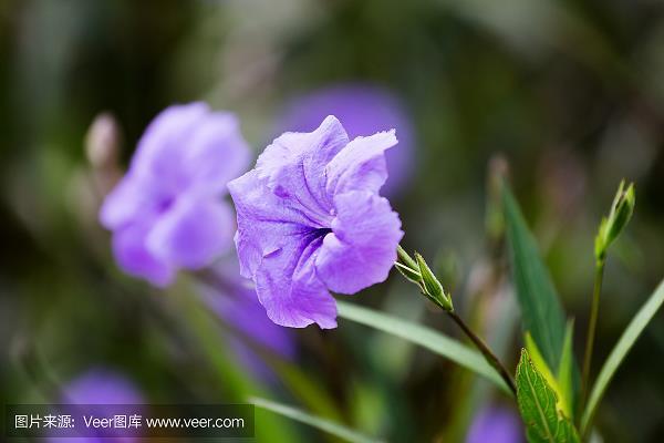 贵少贱老