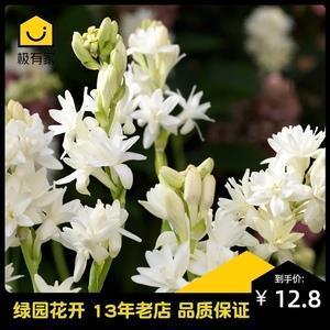 螳螂拒辙